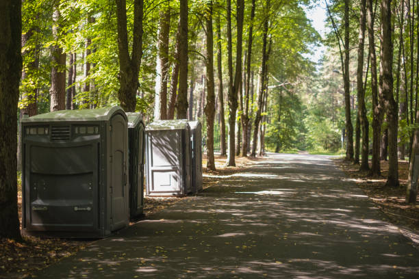 Best Sanitation services for porta potties  in Show Low, AZ